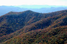 BlueRidge003.jpg (242706 bytes)