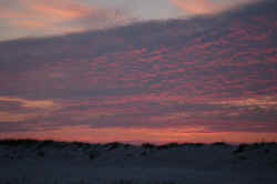 SunsetBest2.jpg (526672 bytes)