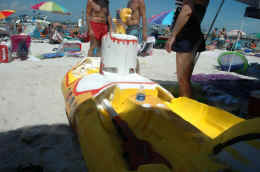 Yellowsubweb.jpg (692963 bytes)