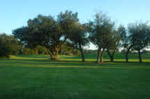 dsc_6956.jpg (3299893 bytes)