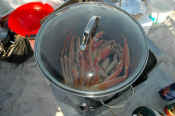 webCrabCookin.JPG (73878 bytes)